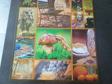 Legpuzzel (1000 stukjes) beschikbaar voor biedingen