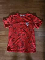 Truien/t-shirt, Ophalen, Zo goed als nieuw, Jongen