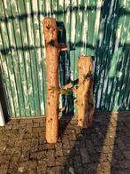 2 taxus hout / boomstammen, Doe-het-zelf en Verbouw, Hout en Planken, Ophalen, Overige typen, 50 mm of meer, Minder dan 200 cm