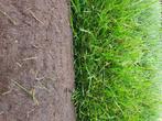 14 Verse Graszoden maandag Afhalen, gratis voeding, Tuin en Terras, Ophalen, Nieuw, 20 m² of meer, Gras