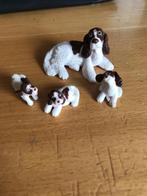 Honden, Ophalen of Verzenden, Zo goed als nieuw