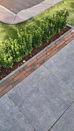 Nieuwe klinkers WF 80 fulham onbezand getrommeld, Tuin en Terras, Tegels en Klinkers, Ophalen, Klinkers, Nieuw, Minder dan 5 m²