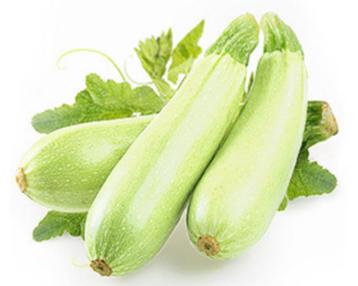 Courgette Haydamaka beschikbaar voor biedingen