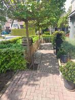 Kastanje Frans Engels hekwerk, Ophalen, Nieuw, Hout, Tuinhek