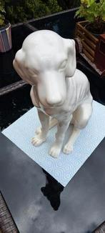 Mooie hond, Ophalen of Verzenden, Zo goed als nieuw, Hond of Kat, Beeldje of Figuurtje