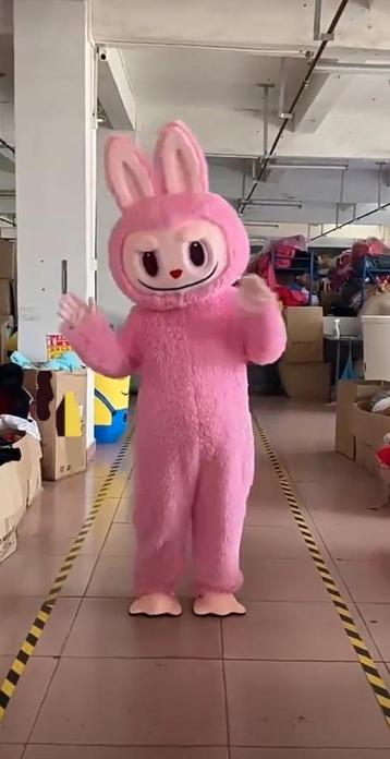 Super Leuke Labubu Pakken te Huur voor Jouw Feest! beschikbaar voor biedingen