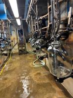 Melkstal delaval 2x5, Ophalen, Gebruikt, IJzer