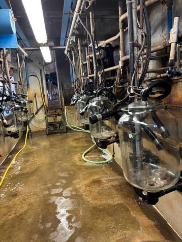 Melkstal delaval 2x5  beschikbaar voor biedingen