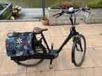 Batavus Milano e-go damesfiets 53cm framehoogte, Ophalen, Gebruikt, Batavus, 51 tot 55 cm