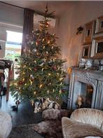 Kerstverlichting 2 strengen jaar oud, Diversen, Kerst, Ophalen of Verzenden, Zo goed als nieuw