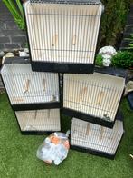 5 tentoonstellings kooitjes/vogelkooitjes., Ophalen of Verzenden, Zo goed als nieuw, Hout