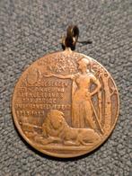 Medaille herdenking 100 jarige onafhankelijkheid 1813 - 1913, Ophalen of Verzenden, Overige materialen, Nederland