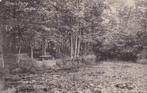 Ansichtkaart Doetinchem Kruisberg eilandje, Ophalen of Verzenden, 1920 tot 1940, Gelopen, Gelderland