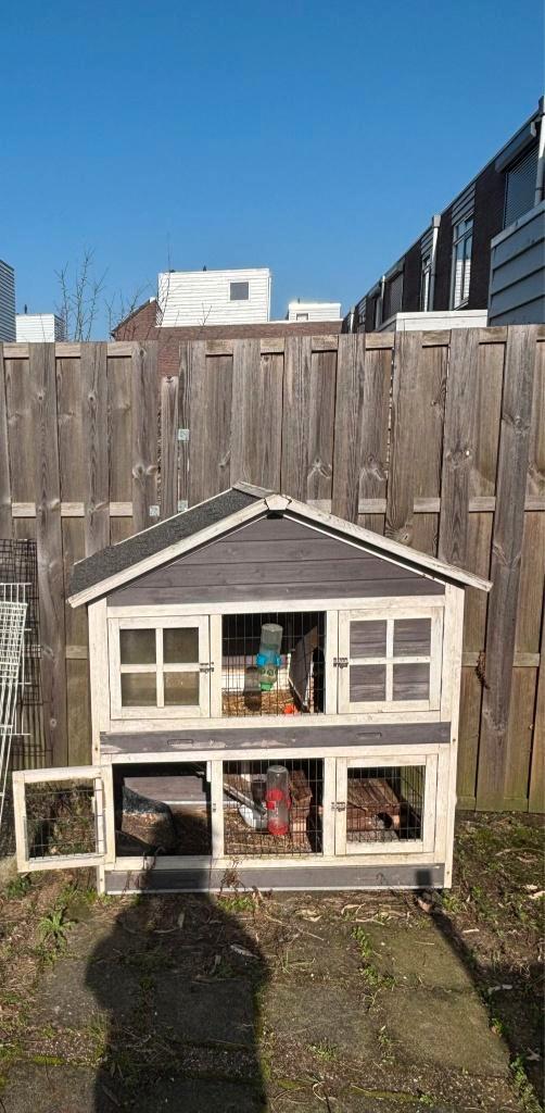 Gratis konijnenhok, Dieren en Toebehoren, Knaagdieren en Konijnen | Hokken en Kooien, Gebruikt, Kooi, 90 cm of meer, 75 tot 110 cm