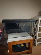 Aquarium 100L met toebehoren, Dieren en Toebehoren, Ophalen of Verzenden, Zo goed als nieuw, Gevuld zoetwateraquarium