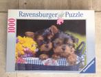 Puzzel van 1000 stukjes in doos, Hobby en Vrije tijd, Denksport en Puzzels, Ophalen, 500 t/m 1500 stukjes, Zo goed als nieuw, Legpuzzel