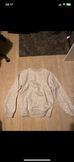 Sweater grijs, Ophalen, Zo goed als nieuw, Maat 46 (S) of kleiner, Grijs