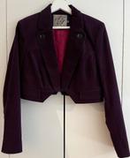 STEPS fluwelen paars kort jasje NIEUW 42, Kleding | Dames, LYL by STEPS, Paars, Maat 42/44 (L), Nieuw