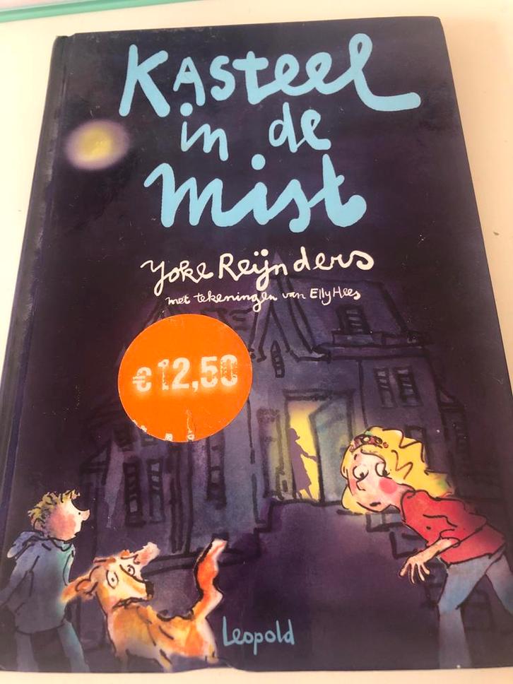 Kasteel in de Mist - Yoke Reinders, Boeken, Kinderboeken | Jeugd | onder 10 jaar, Zo goed als nieuw, Fictie algemeen, Ophalen of Verzenden