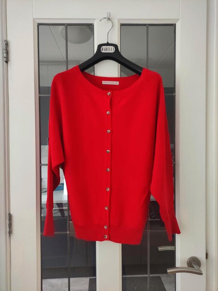 Studio Anneloes vest vleermuismouwen S (valt als M), Kleding | Dames, Truien en Vesten, Gedragen, Maat 38/40 (M), Rood, Ophalen of Verzenden