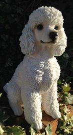 Tuinornament witte toypoedel afmeting H32X27X15 cm, Ophalen of Verzenden, Zo goed als nieuw, Kunststof, Dierenbeeld