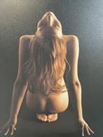 Chris Peeters | Vrouwelijk Naakt, Ophalen