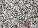 Gratis wit grind, Tuin en Terras, Ophalen, Overige materialen, Gebruikt, Wit