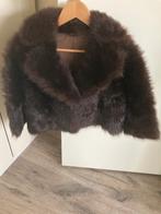 Kort bontjasje, Kleding | Dames, Ophalen of Verzenden, Zo goed als nieuw, Maat 38/40 (M), Bruin