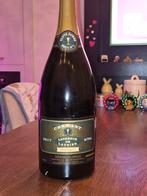 Magnum (1.5 liter) cremant champagne, Ophalen of Verzenden, Nieuw, Frankrijk, Champagne