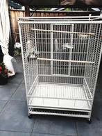 Papagaaienkooi verrijdbaar, Ophalen, Zo goed als nieuw, Overige materialen, Vogelkooi