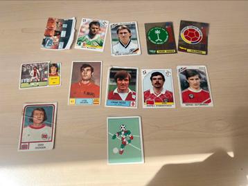 Panini B-keus 12 stuks beschikbaar voor biedingen