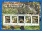 NVPH: V3642P: 21 "Nederlandse onderwaterwereld 2024", Postzegels en Munten, Postzegels | Nederland, Verzenden, Na 1940, Postfris