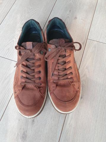 Mooie bruine Ecco sneakers
Maat 45 beschikbaar voor biedingen