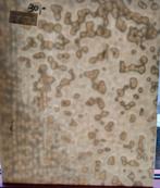 Uroboros tiffanyglas, Ophalen