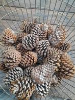 Grote Dennenappels voor Decoratie/Knutselen, Ophalen of Verzenden, Zo goed als nieuw, Materiaal