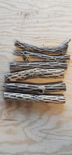 CHOLLA WOOD!, Kreeft, Krab of Garnaal