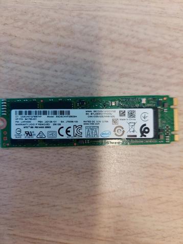 HP 256GB SSD M.2 SATA beschikbaar voor biedingen