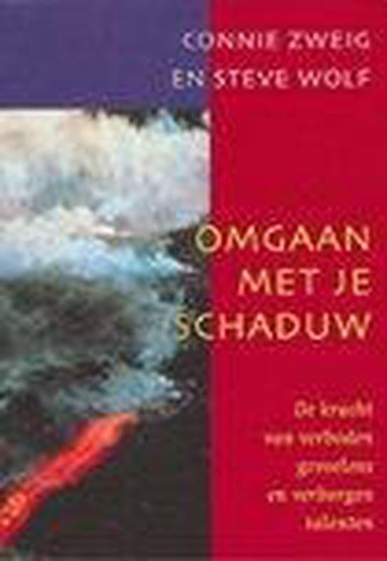 Omgaan met je schaduw. De kracht van verboden gevoelens en v, Achtergrond en Informatie, Spiritualiteit algemeen, Ophalen of Verzenden