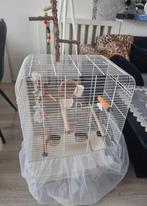 Vogelkooi, Ophalen, Zo goed als nieuw, Metaal, Vogelkooi