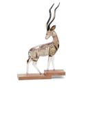 Swarovski African Sunset Koedoe Anya! NIEUW!, Ophalen of Verzenden, Nieuw