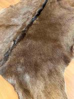 Geitenvacht 76/54, Gebruikt, 50 tot 100 cm, Bruin, Etten-Leur