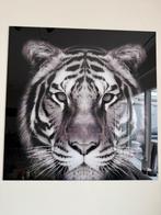 Glazen schilderij Tijger, Huis en Inrichting, Ophalen, Zo goed als nieuw, Schilderij, 75 tot 100 cm