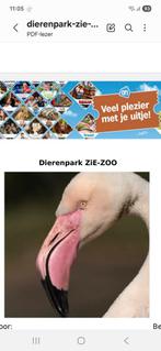 Zie Zoo kinderticket, Eén persoon
