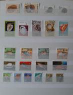 1 Kaart Postzegels Fossielen en Schelpen Nr. 1, Postzegels en Munten, Dier of Natuur, Ophalen, Gestempeld