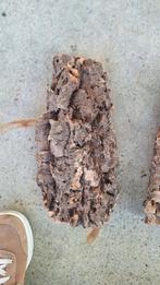 Terrarium / paludarium hout, Ophalen, Tak, Plant, Rots of Steen