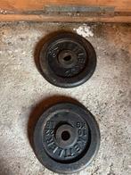 2 x 10kg Halterschijven 30mm, Sport en Fitness, Ophalen, Gebruikt, Armen, Halterschijven