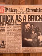 Jethro Tull-Thick as a Brick, Chrysalis Green Labels, Gebruikt, Ophalen of Verzenden, Progressive, 12 inch