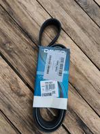 DAYCO 7PK1601 Multiriem 1601,0mm, 7, Ophalen of Verzenden, Nieuw
