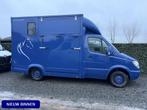 Mercedes-Benz Sprinter PAARDENWAGEN | HORSETRUCK | TVW | CLA