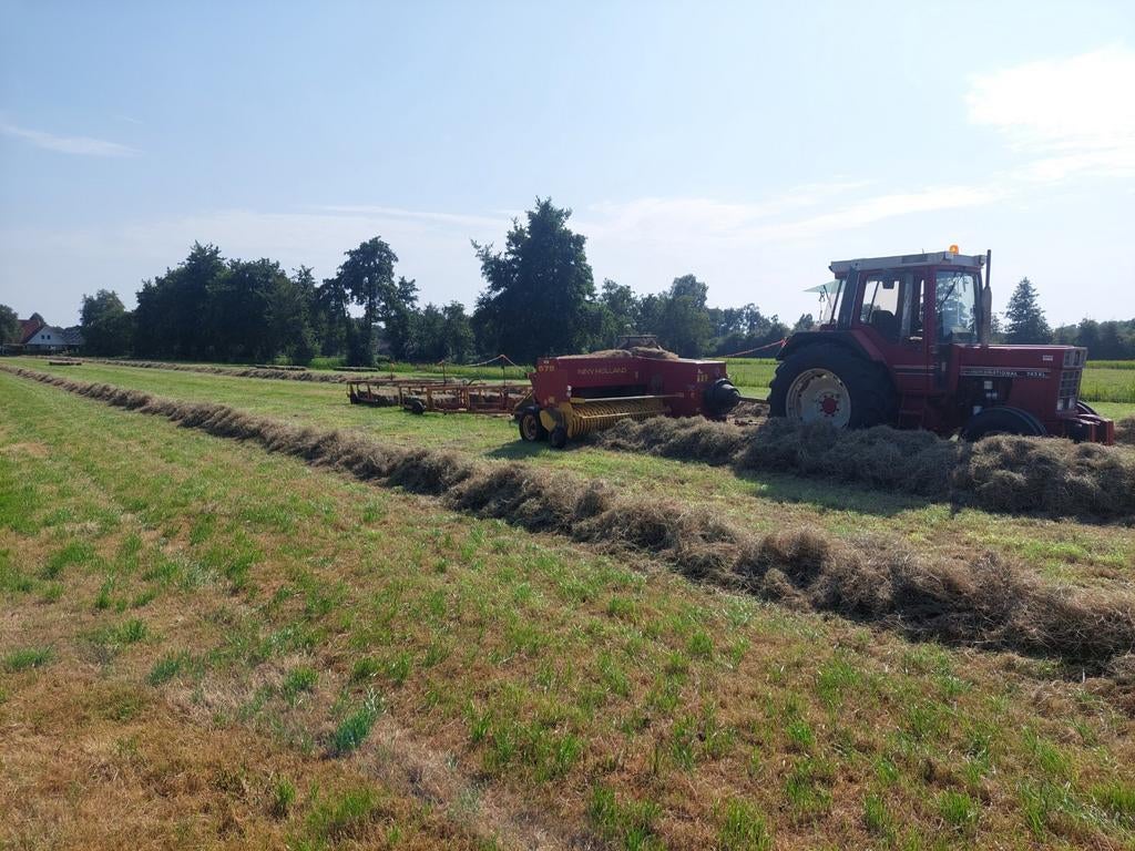 Hooi te koop, Ophalen of Verzenden, Vee